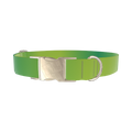 Green Gradient Dog Collar - metal silver