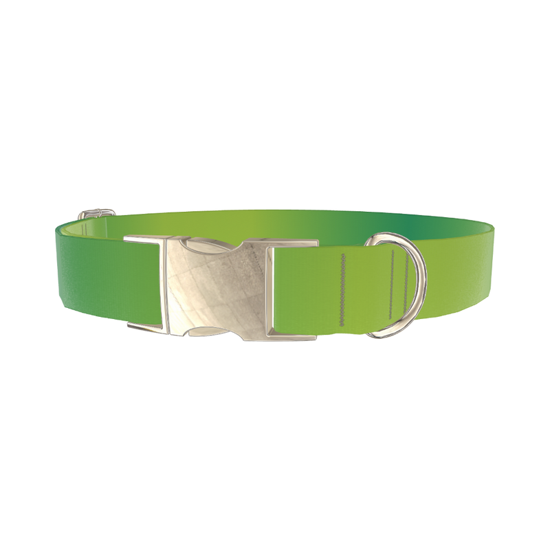 Green Gradient Dog Collar - metal silver