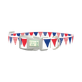 Patriotic Stars and Stripes Dog Collar - plastic silver
