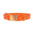 Halloween Mix Dog Collar - metal silver