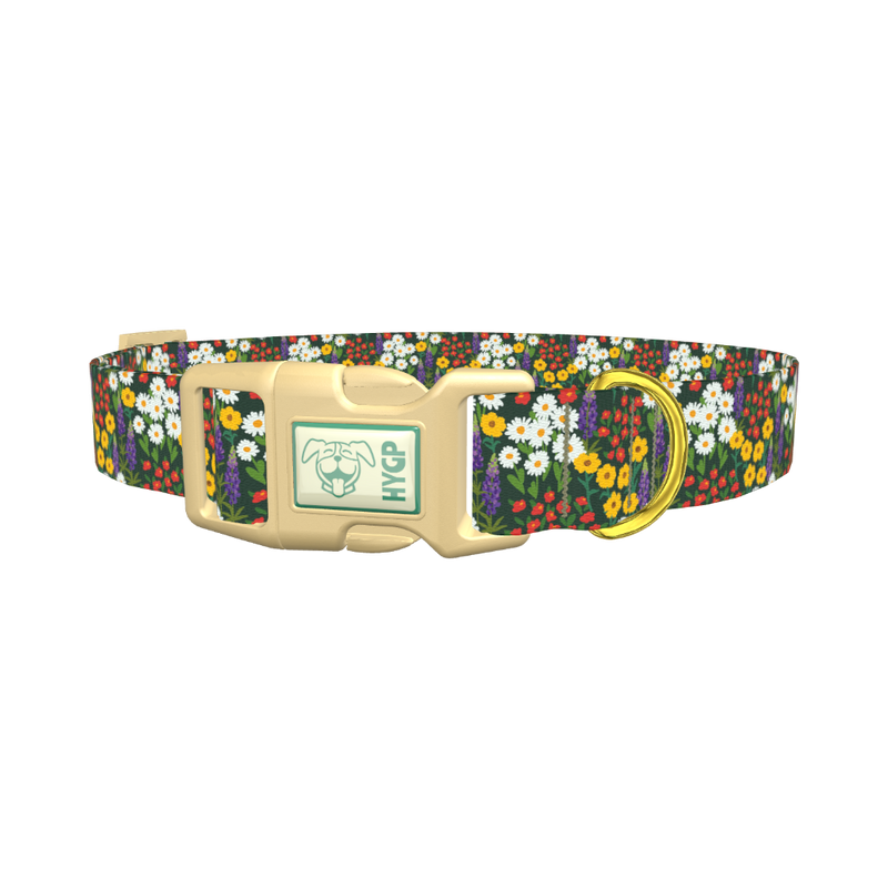 Meadow Bloom Dog Collar - plastic gold