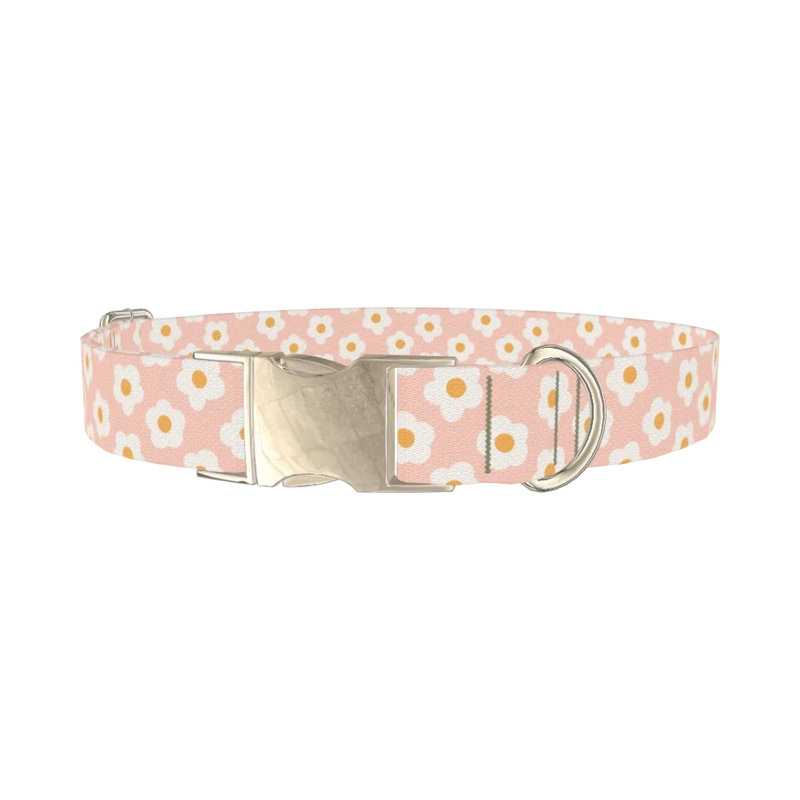Peach Daisy Pattern Dog Collar - metal silver