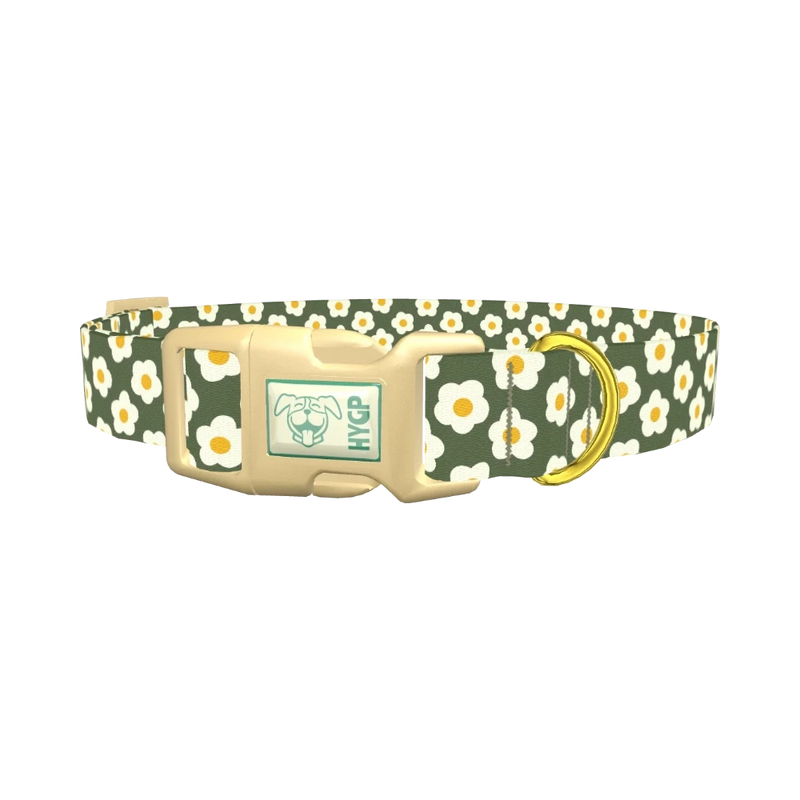 Floral Daisy Dog Collar - plastic gold