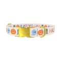 Halloween Embroidery Dog Collar - metal gold