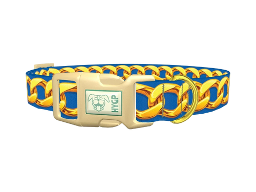 Gold Chain Blue Dog Collar