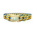 Gold Chain Blue Dog Collar - plastic gold