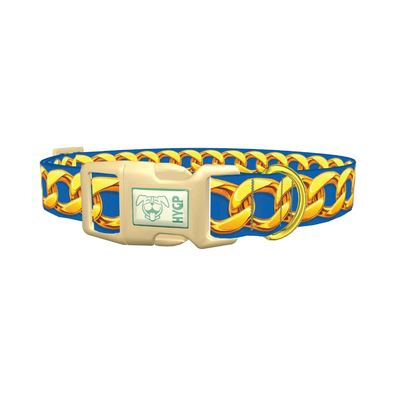 Gold Chain Blue Dog Collar - plastic gold