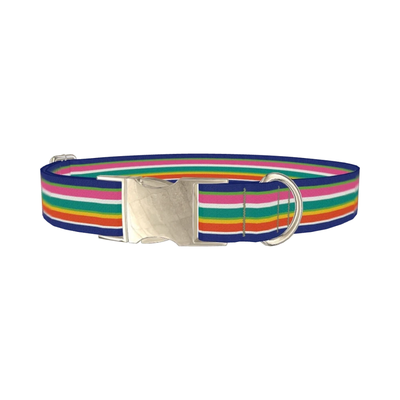 Rainbow Stripes Dog Collar - metal silver
