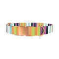 Pastel Stripe Dog Collar - metal rose gold