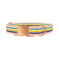 Multicolor Stripes Dog Collar - metal rose gold