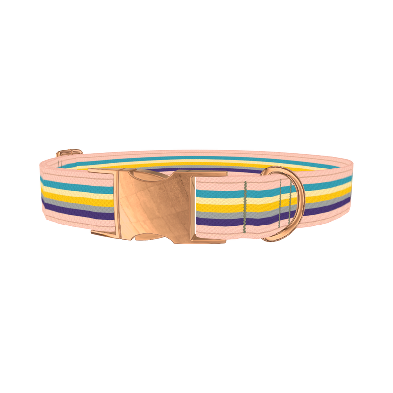 Multicolor Stripes Dog Collar - metal rose gold