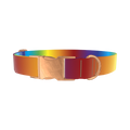 Rainbow Gradient Dog Collar - metal rose gold