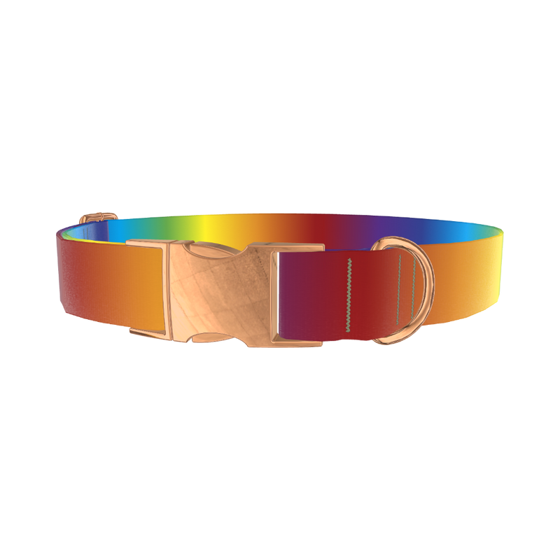 Rainbow Gradient Dog Collar - metal rose gold
