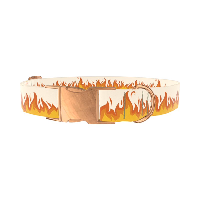 Fire Flame Dog Collar - metal rose gold