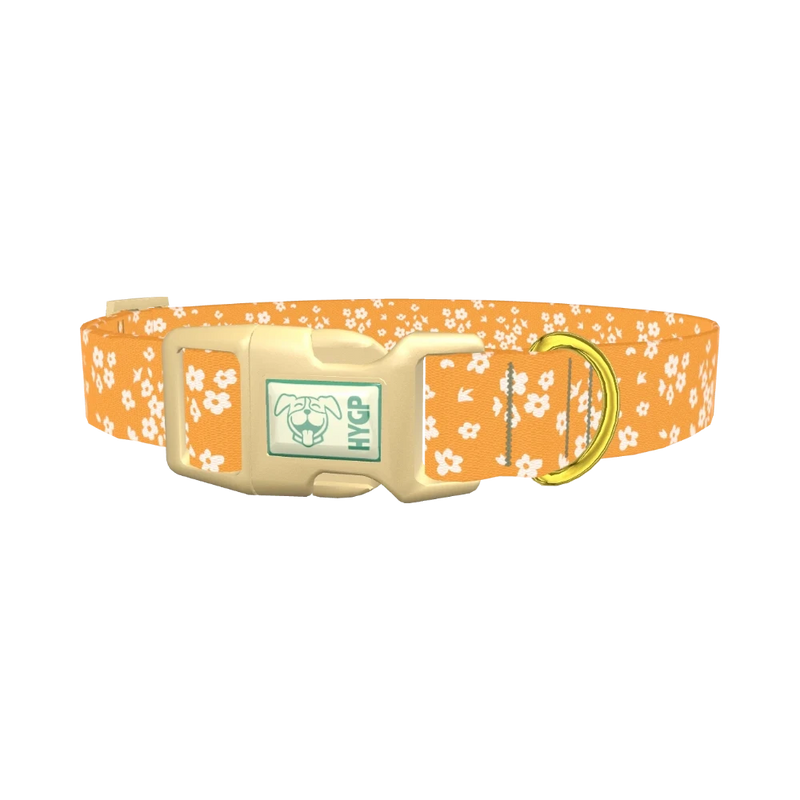 Yellow Blossom Dog Collar - plastic gold