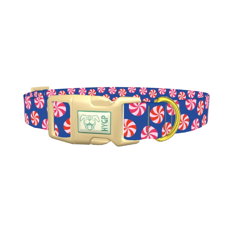 Blue Peppermint Swirl Dog Collar - plastic gold