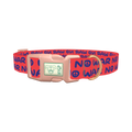 Peace Phrase Dog Collar - plastic rose gold