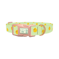 Rubber Duckies Dog Collar - plastic rose gold