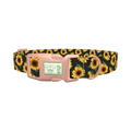 Sunflower Pattern Black Dog Collar - plastic rose gold