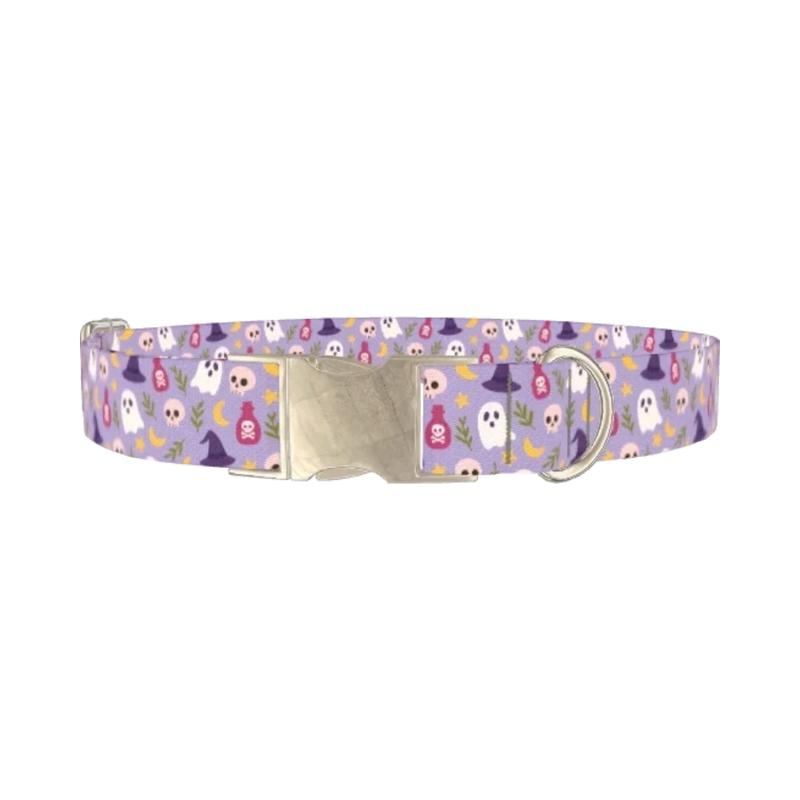 Halloween Ghost Dog Collar - metal silver