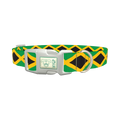 Jamaican Flag Dog Collar - plastic silver