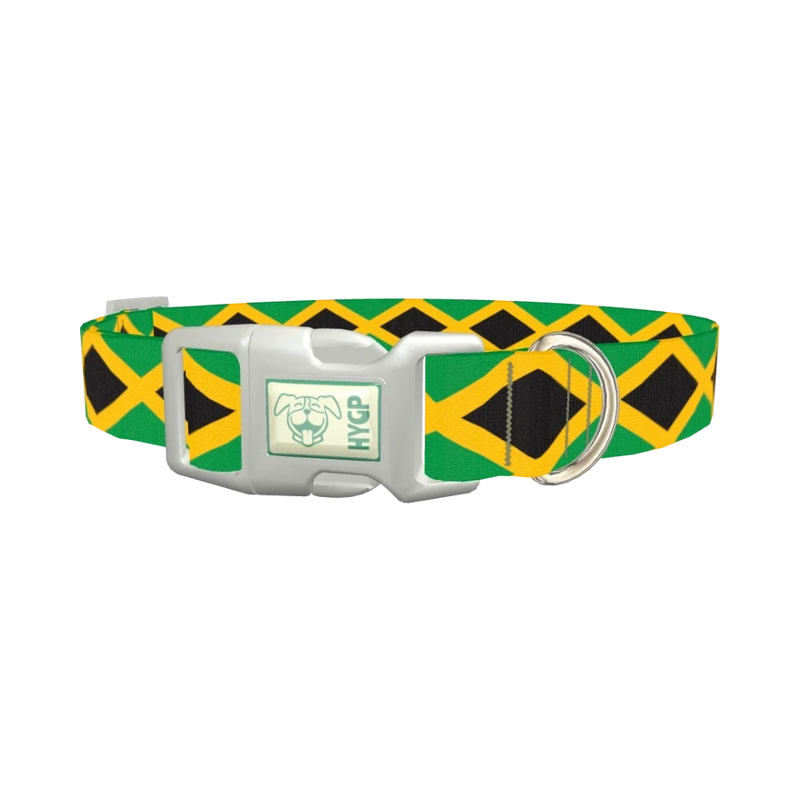 Jamaican Flag Dog Collar - plastic silver