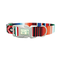 Mexican Stripe Pattern Dog Collar - plastic silver