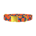 Orange Fruit Dog Collar - metal gold