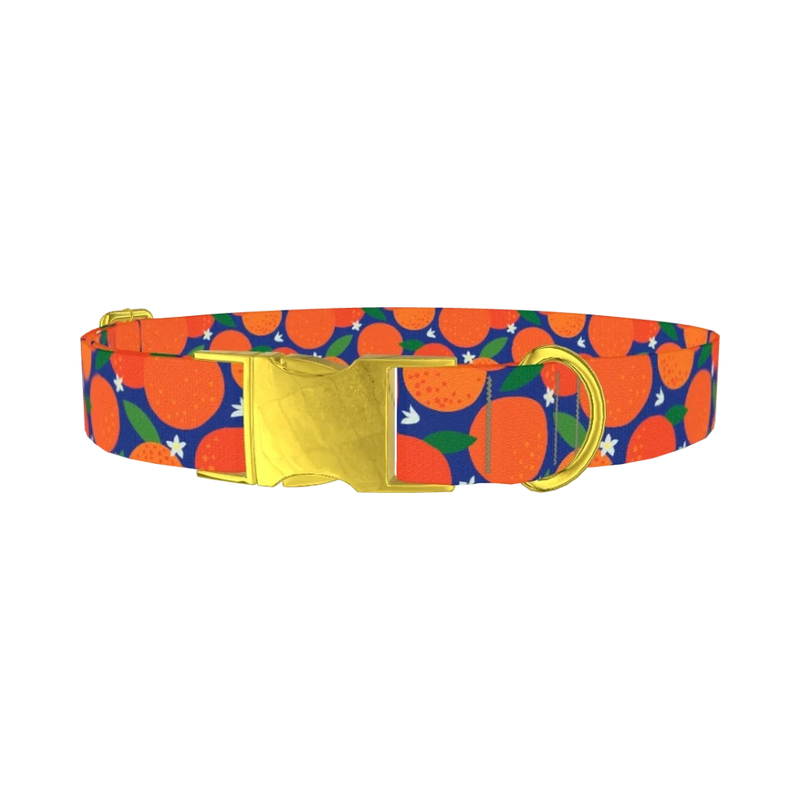 Orange Fruit Dog Collar - metal gold