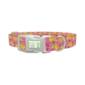 Banana Cherry Dog Collar - plastic silver