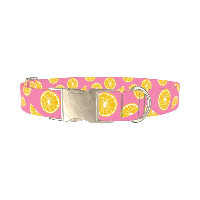 Pink Citrus Burst Dog Collar - metal silver