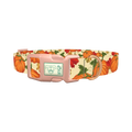 Autumn Pumpkin Dog Collar - plastic rose gold