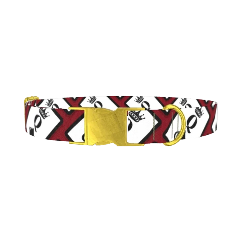 Red Playing Card Dog Collar - metal gold