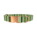 Green Striped Pattern Dog Collar - metal silver