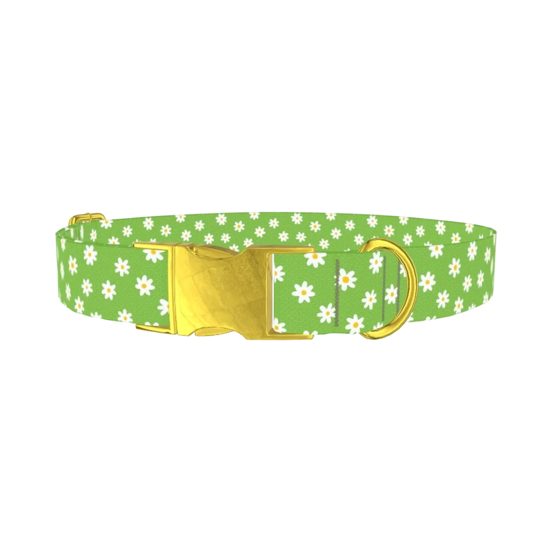 Green Daisy Pattern Dog Collar - metal gold