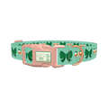 St. Patrick's Bow Dog Collar - plastic rose gold
