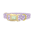 Purple Daisy Pattern Dog Collar - plastic gold