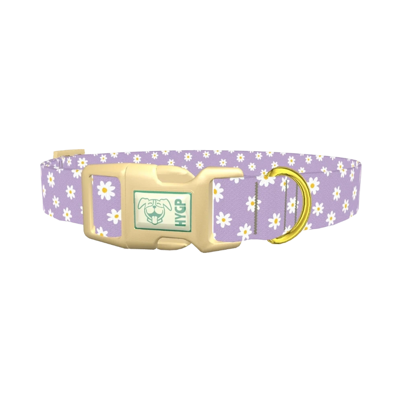 Purple Daisy Pattern Dog Collar - plastic gold