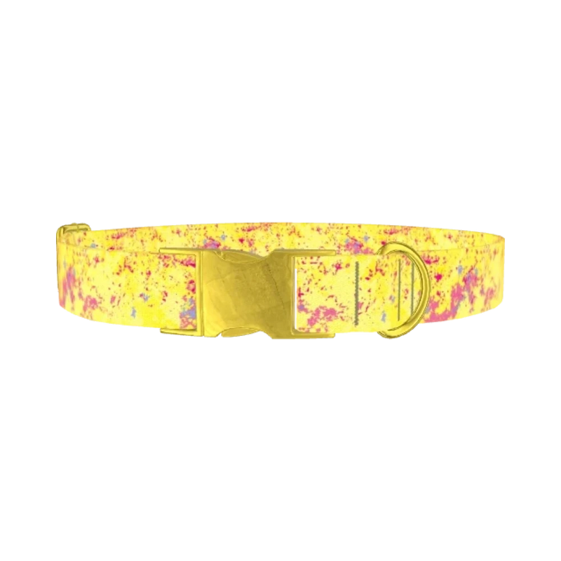 Yellow Abstract Splatter Dog Collar - metal gold