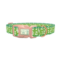 Green Musical Note Dog Collar - plastic rose gold