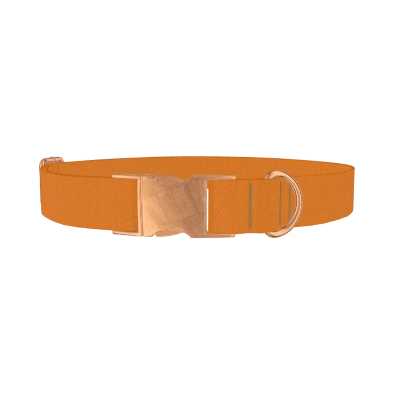 Status Bronze Color Dog Collar - metal rose gold