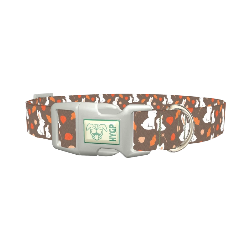 Autumn Bunny Dog Collar - plastic silver