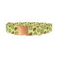 Kiwi Fruit Dog Collar - metal rose gold