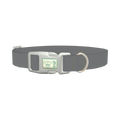 Sharkskin Color Dog Collar - plastic silver