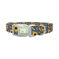Bee Sunflower Dog Collar - plastic silver