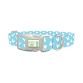 Sky Blue Butterfly Dog Collar - plastic silver