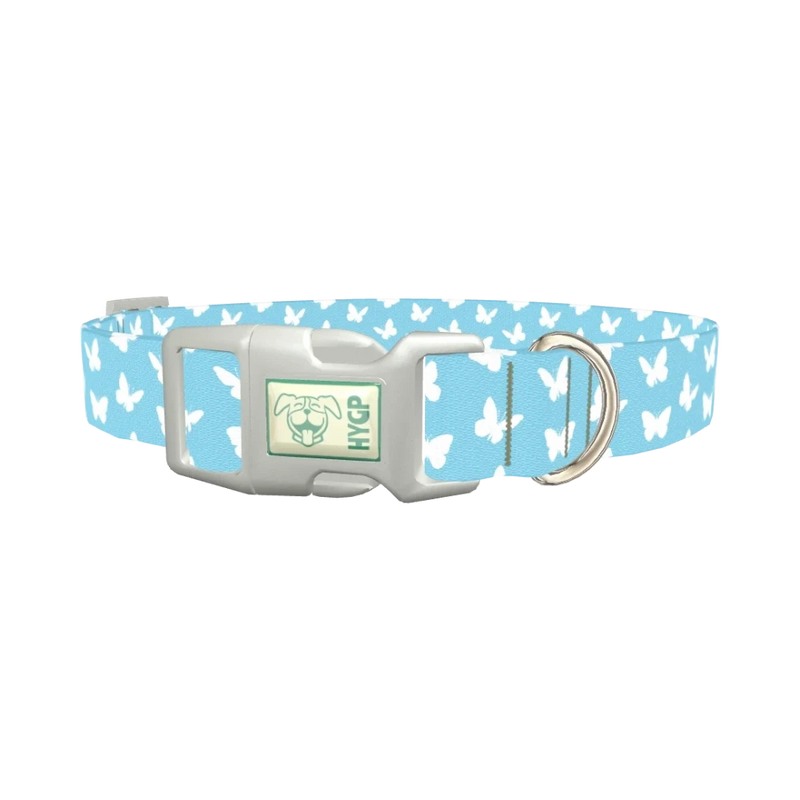 Sky Blue Butterfly Dog Collar - plastic silver