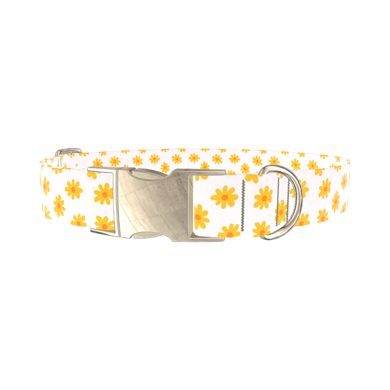 Yellow Daisy Dog Collar - metal silver