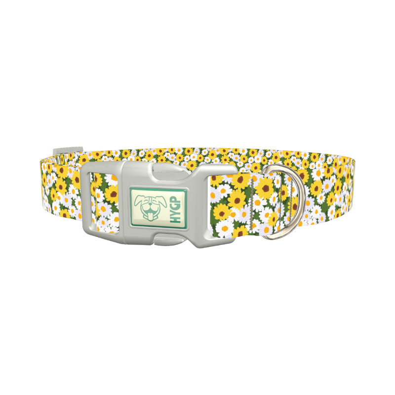 White and Yellow Daisy Dog Collar - plastic silver