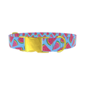 Geometric Watermelon Dog Collar - metal rose gold